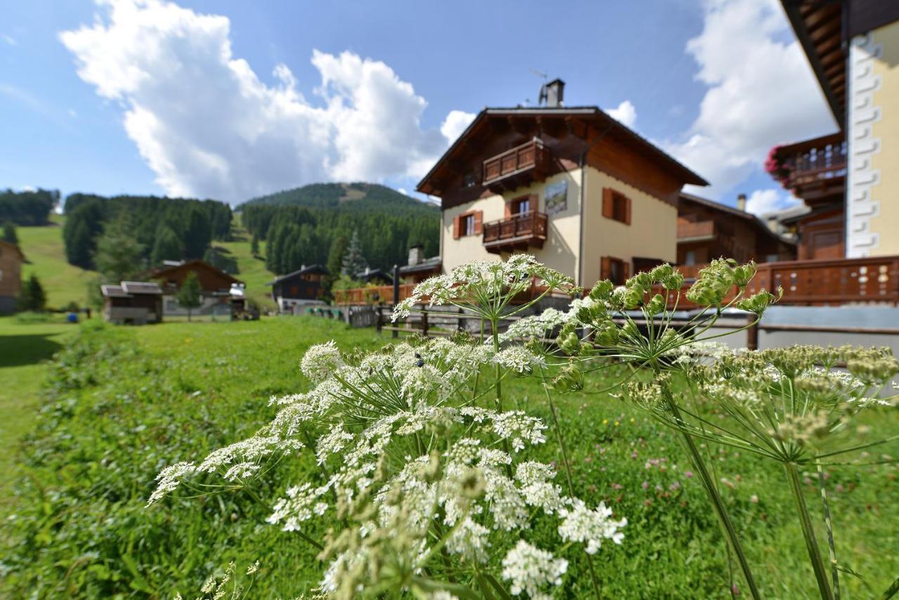 Chalet Barbara Apartman Livigno Kültér fotó